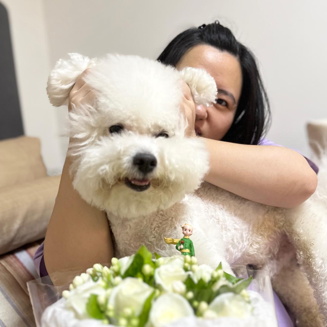 小小柴的小糖菜🐩