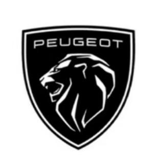 毕节天瑞-法系标雪