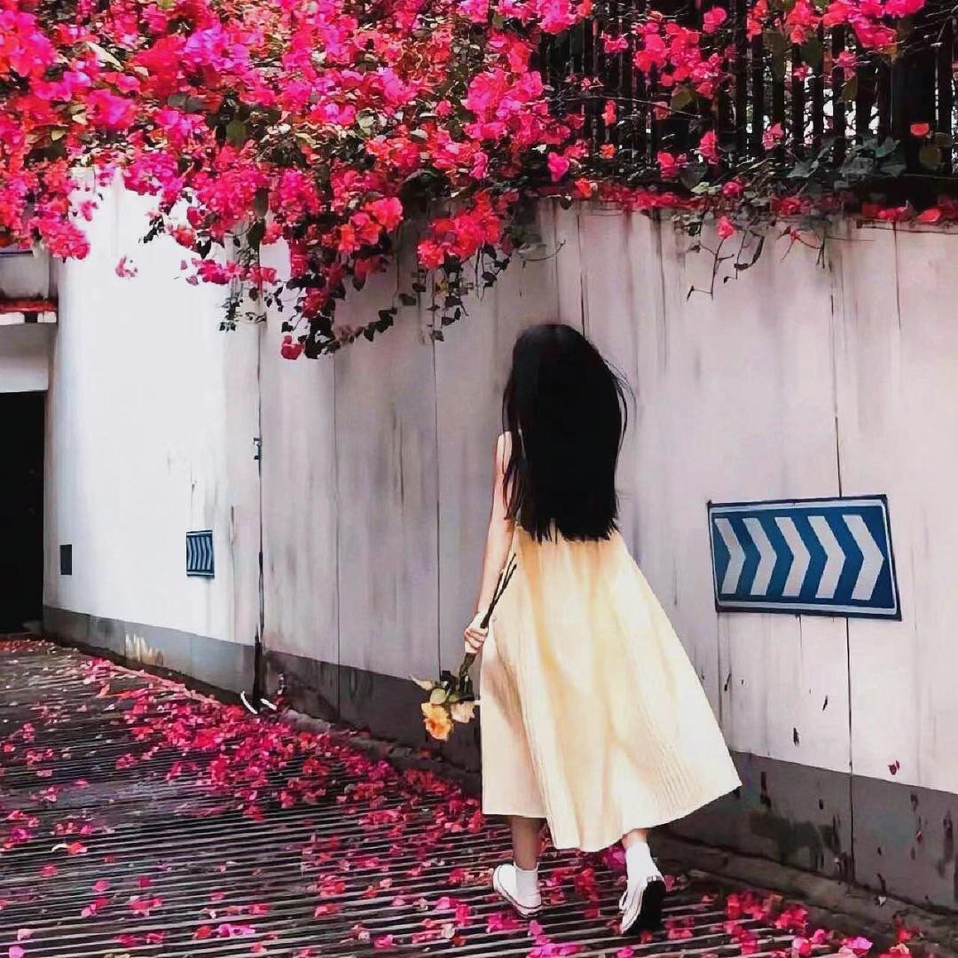 仅你可见🎀