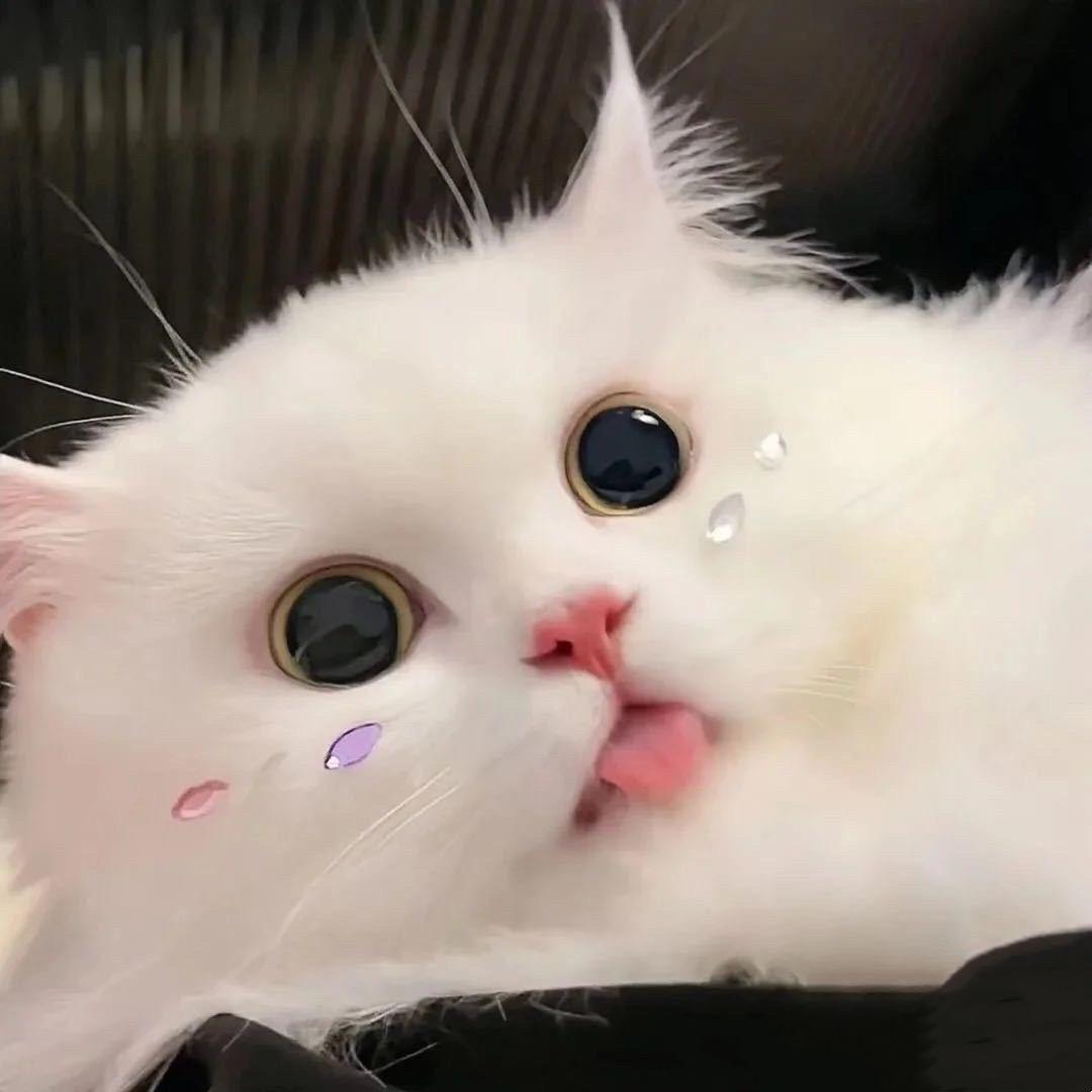 幸福 开心 健康