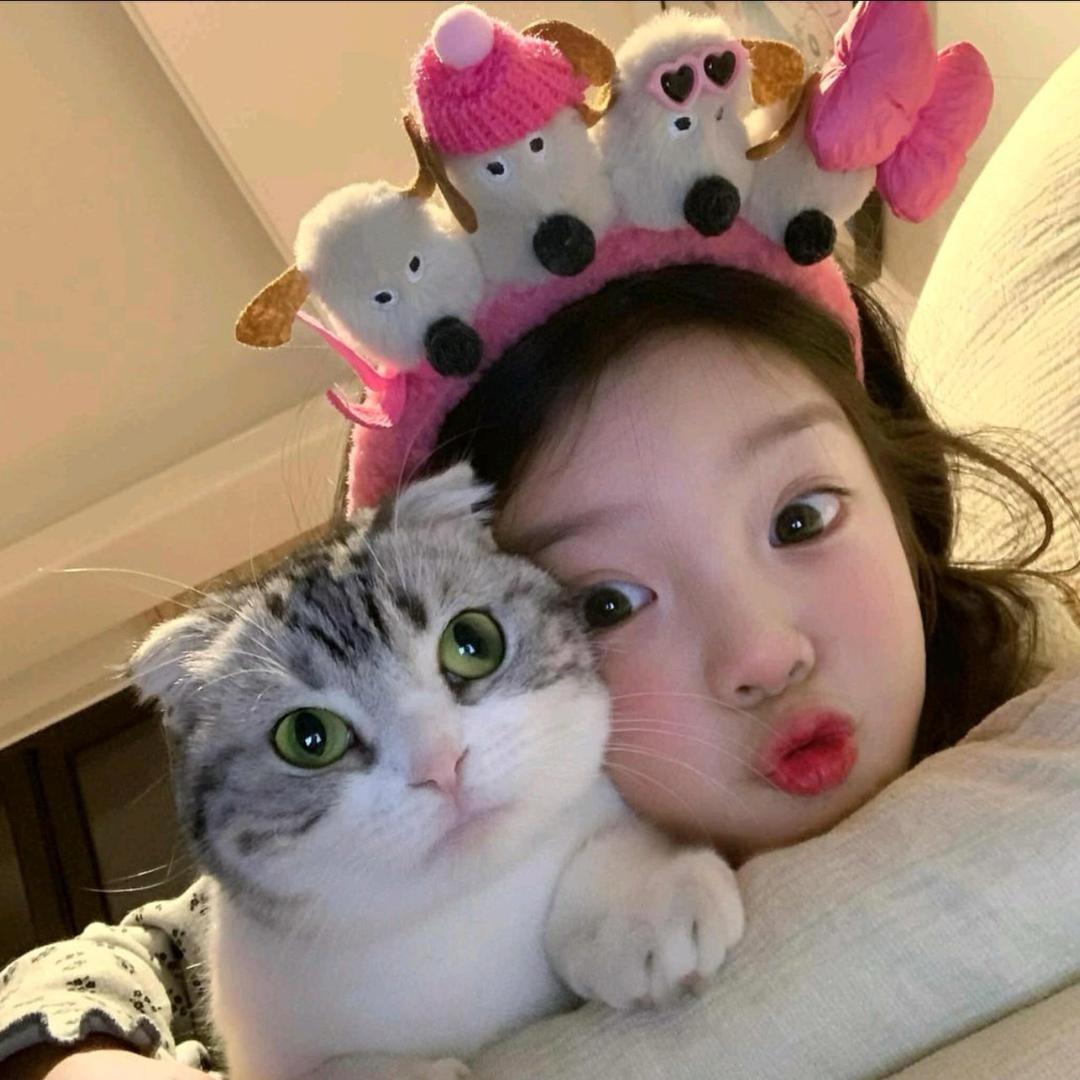 QI