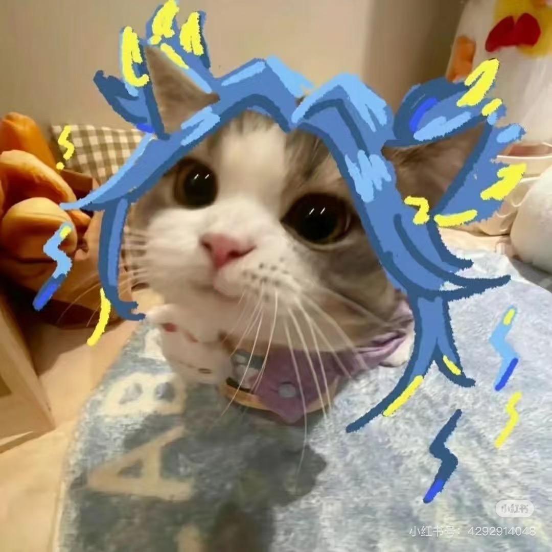 玉米排骨汤🐾