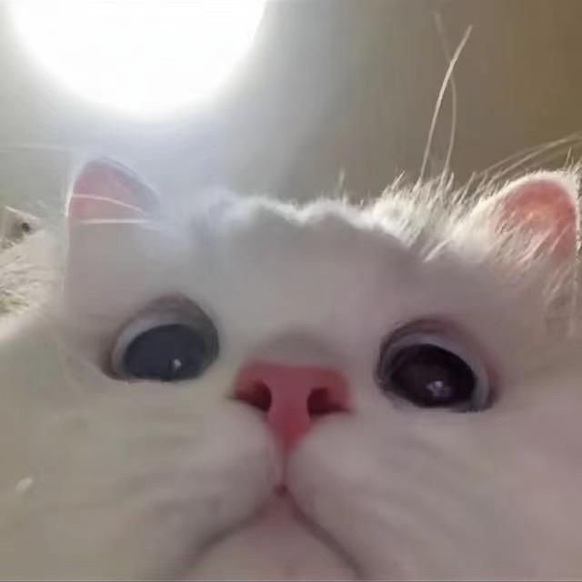 海。