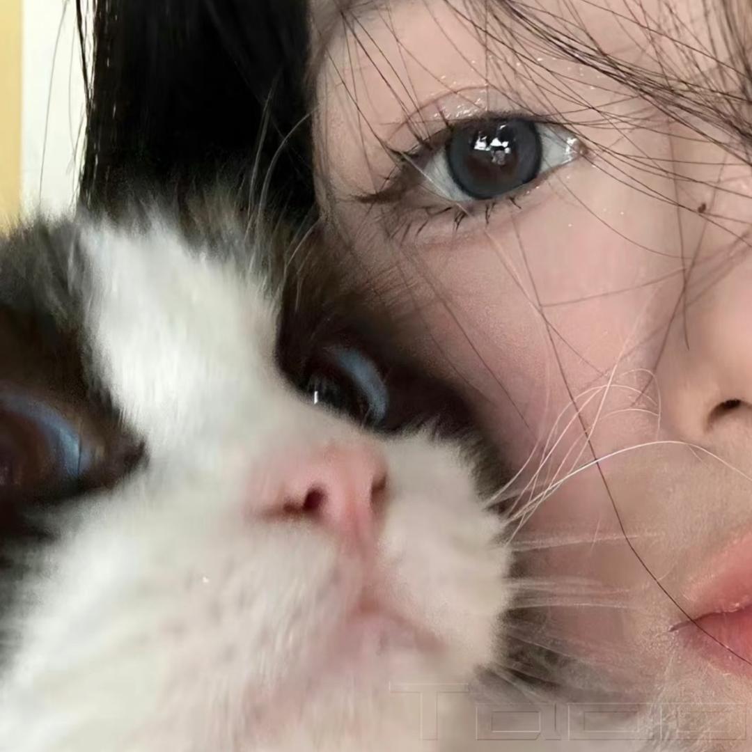 么凹猫…
