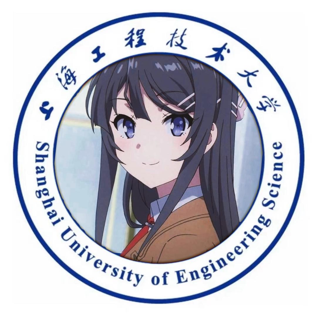 上海工程技术大学校园墙