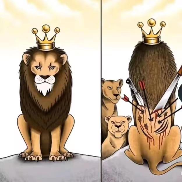 金北运输——张凯