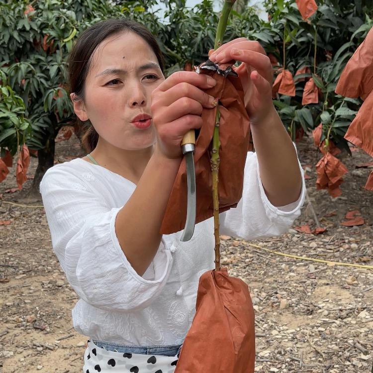 留雨轩-妮妮@抖音