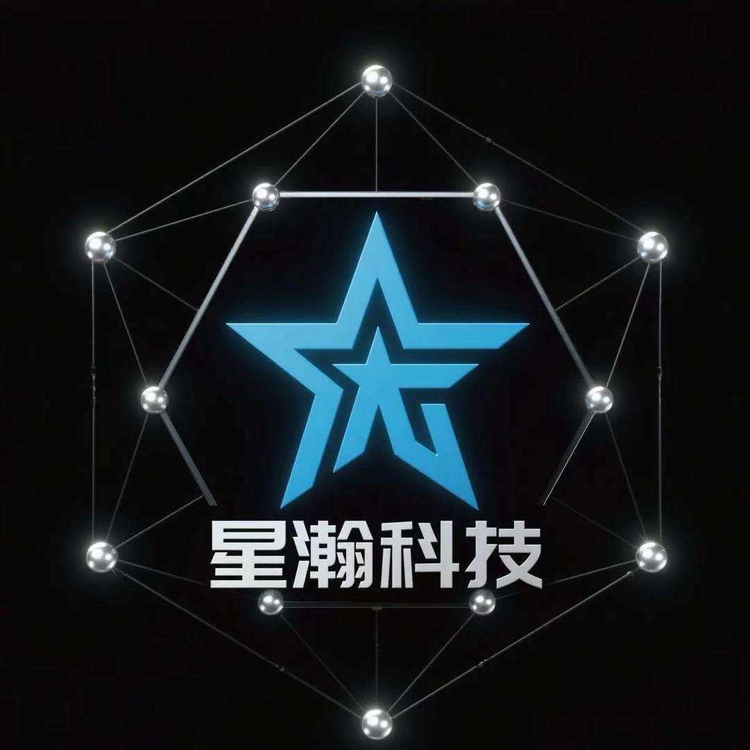 星瀚网络科技公司