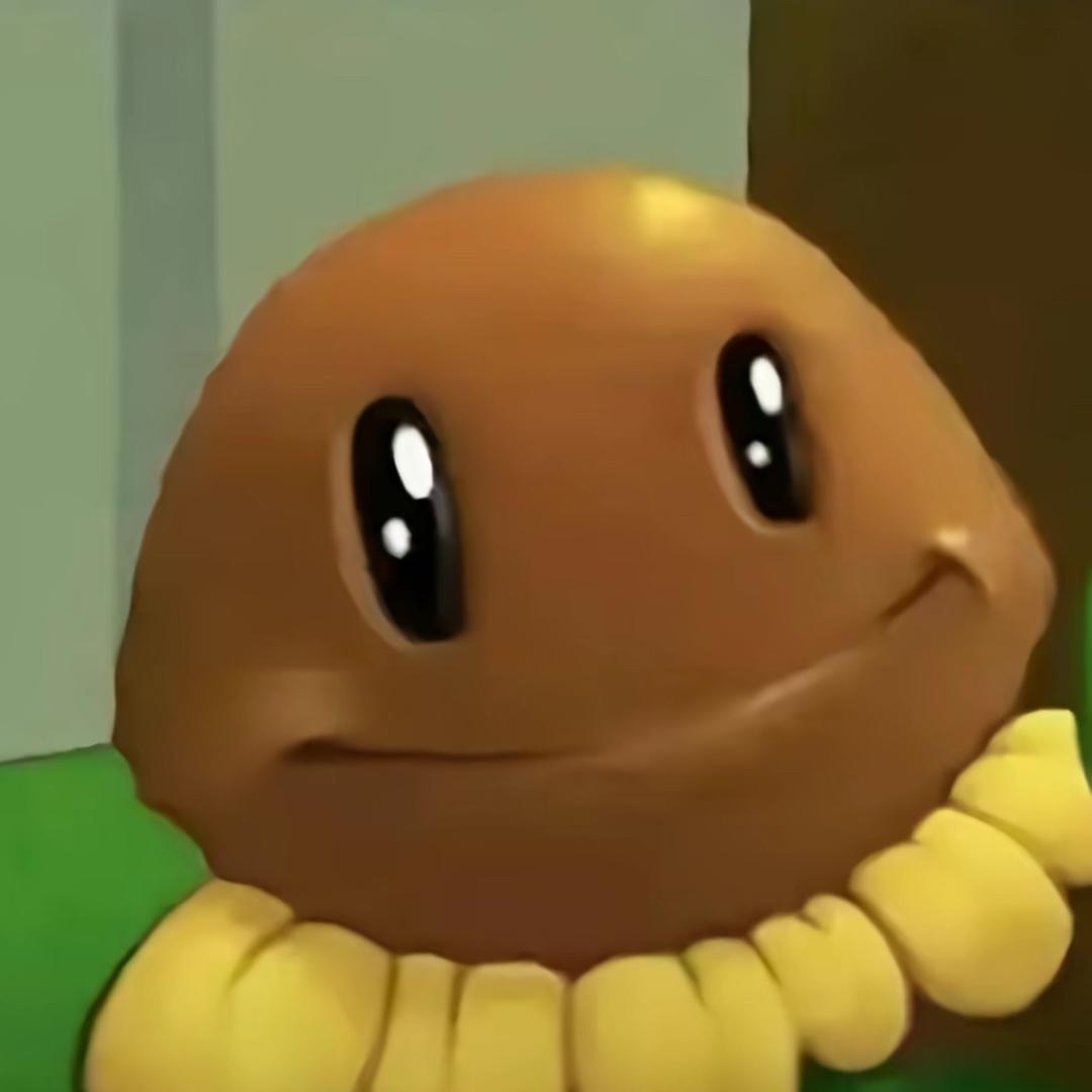 o泡