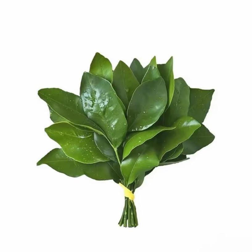栗栗