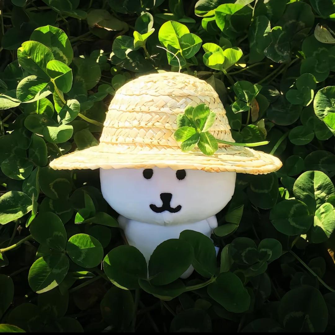 传奇喵喵王