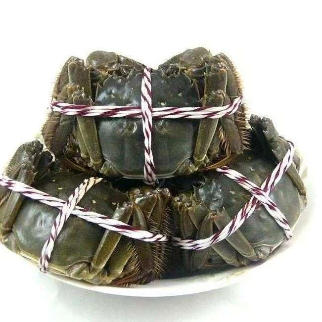 鲜活生鲜超市店长号