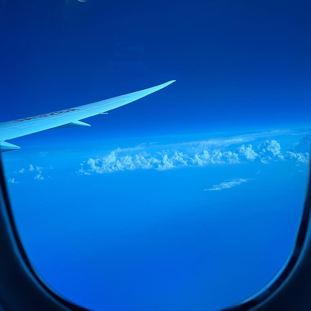 Viva la vida生命万岁