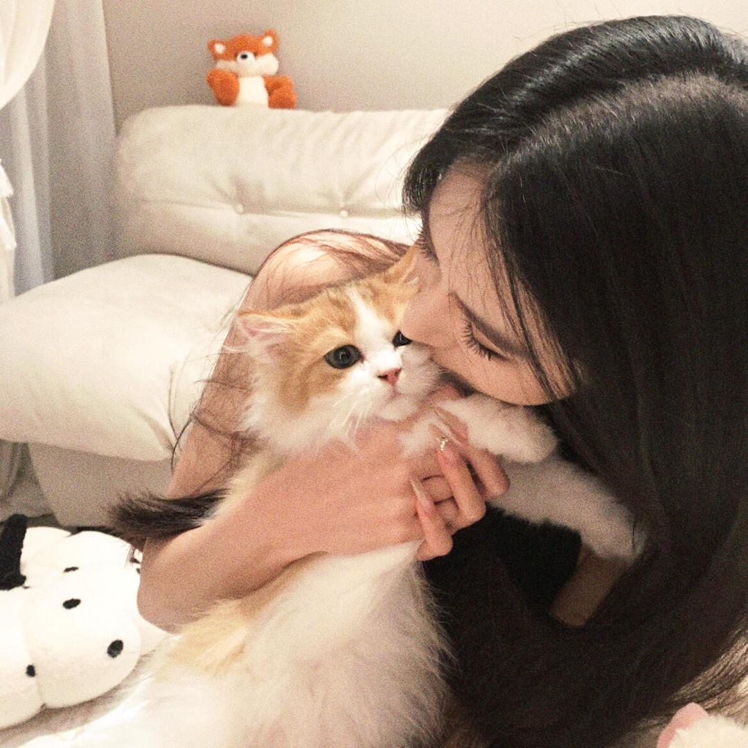 羊村你懒哥