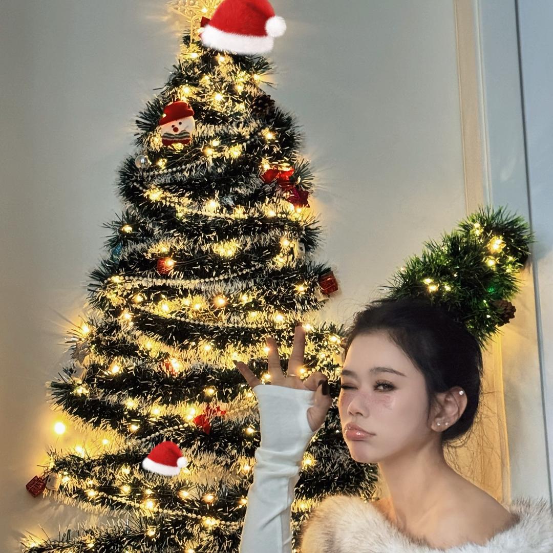 海燕（减肥版）