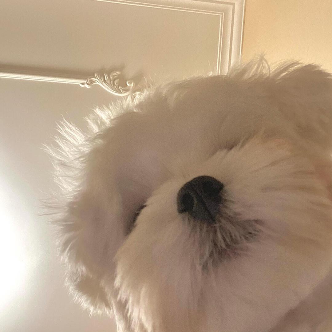 ᶻ