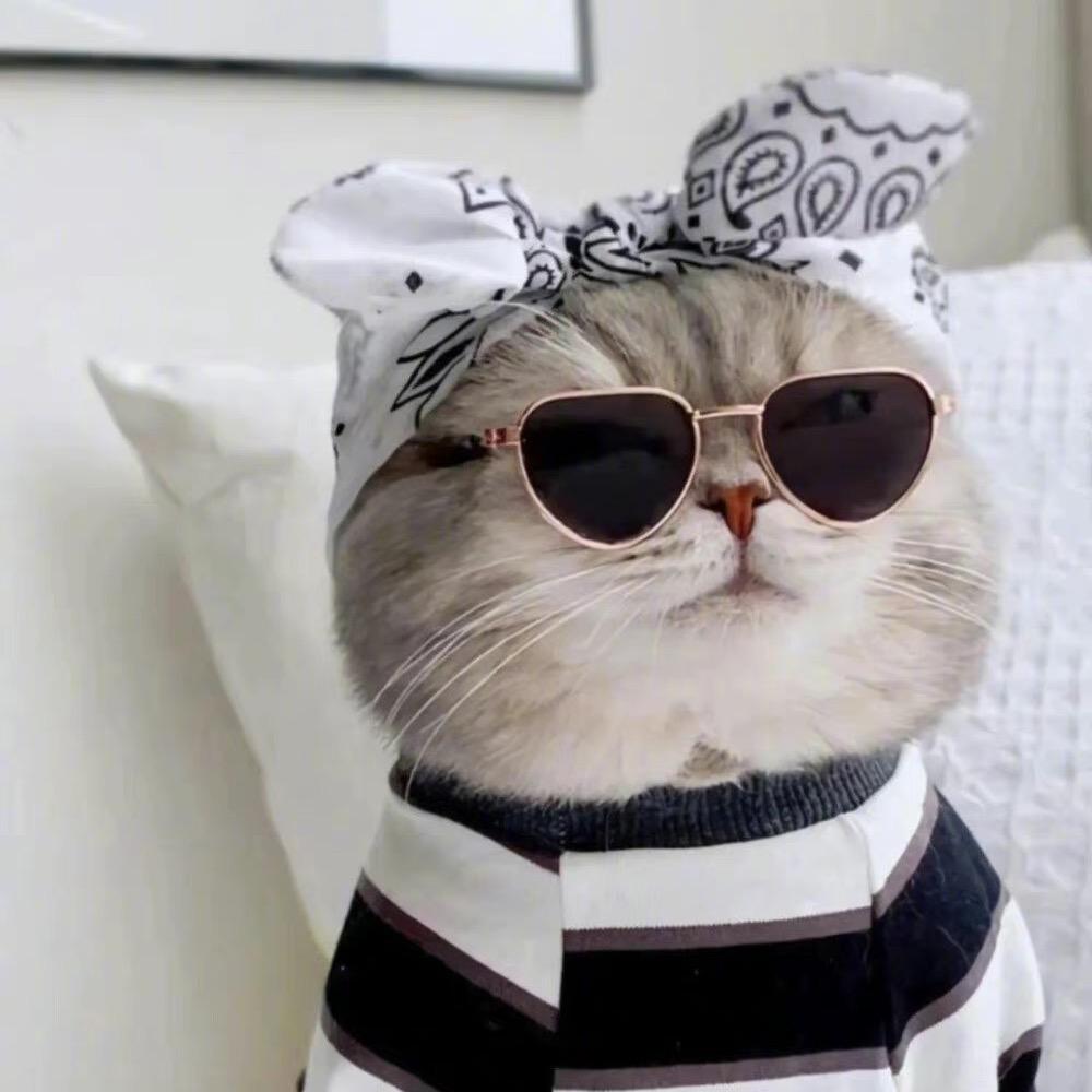 🌻闲人老王🌻