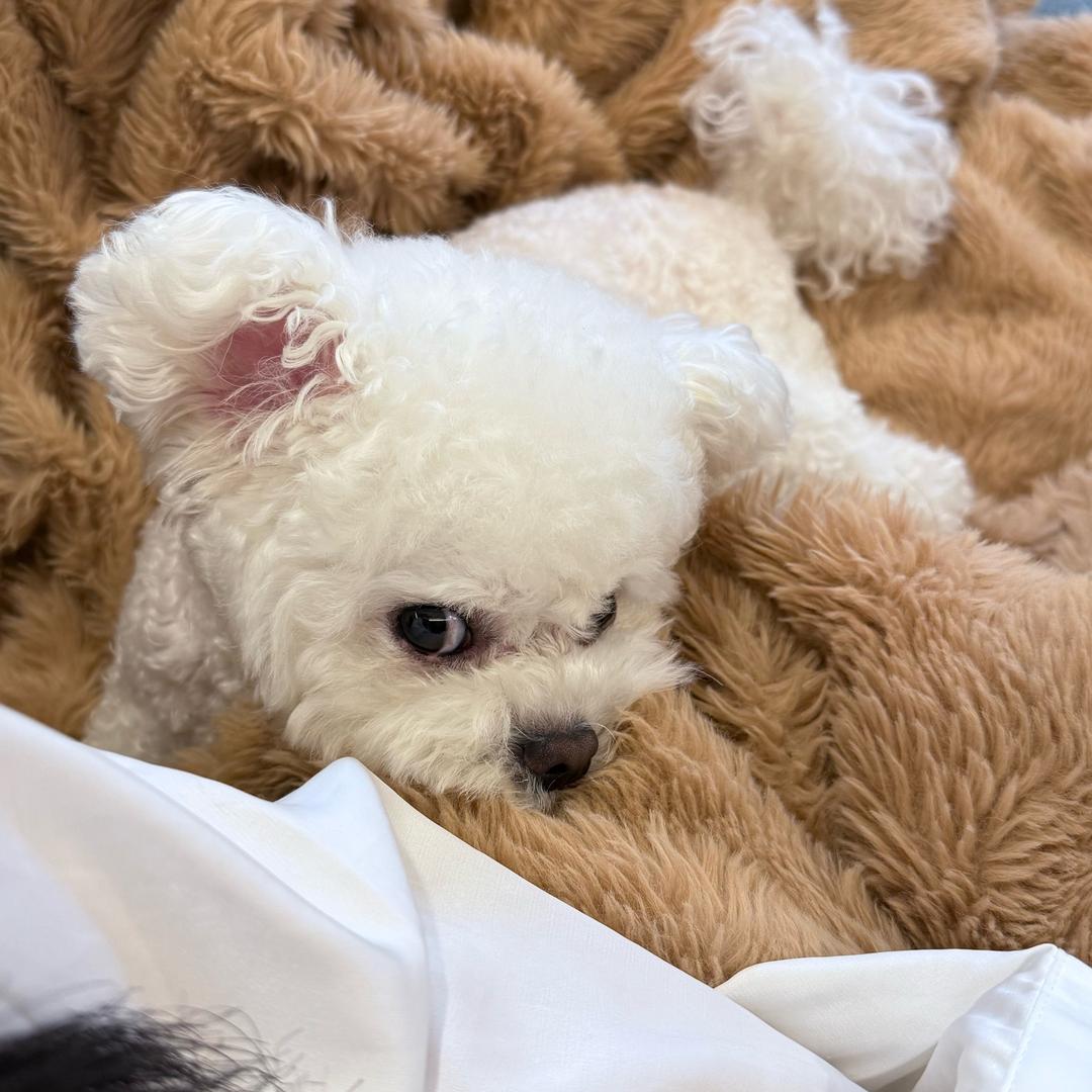 💕💓