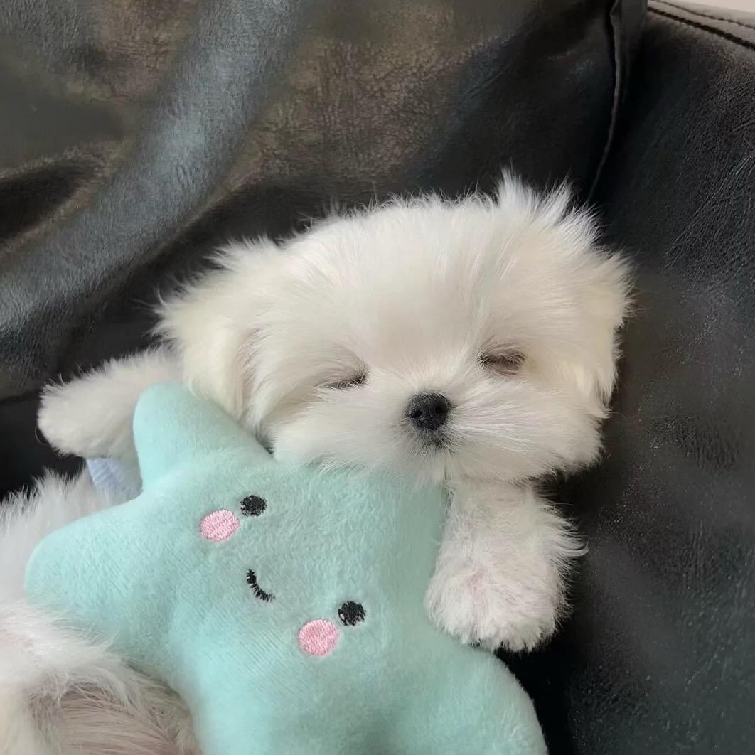 鄧