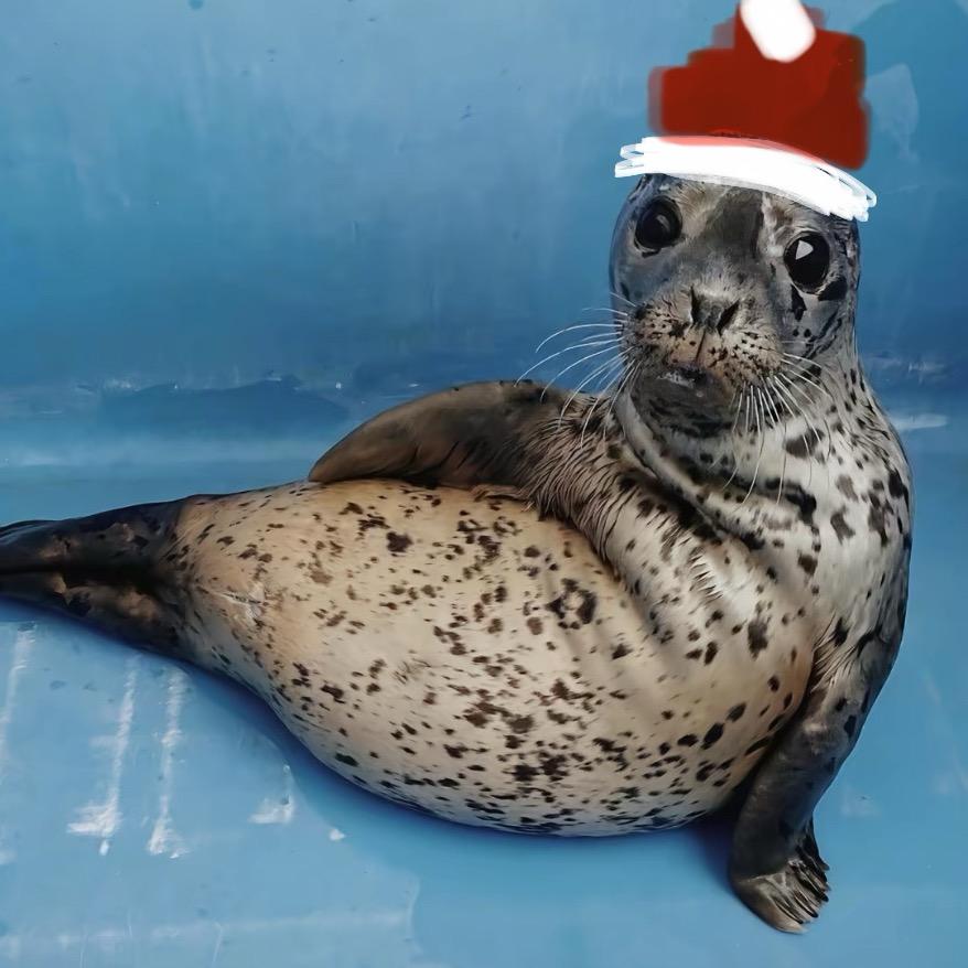 ៸៸◺𓈊◿៸៸