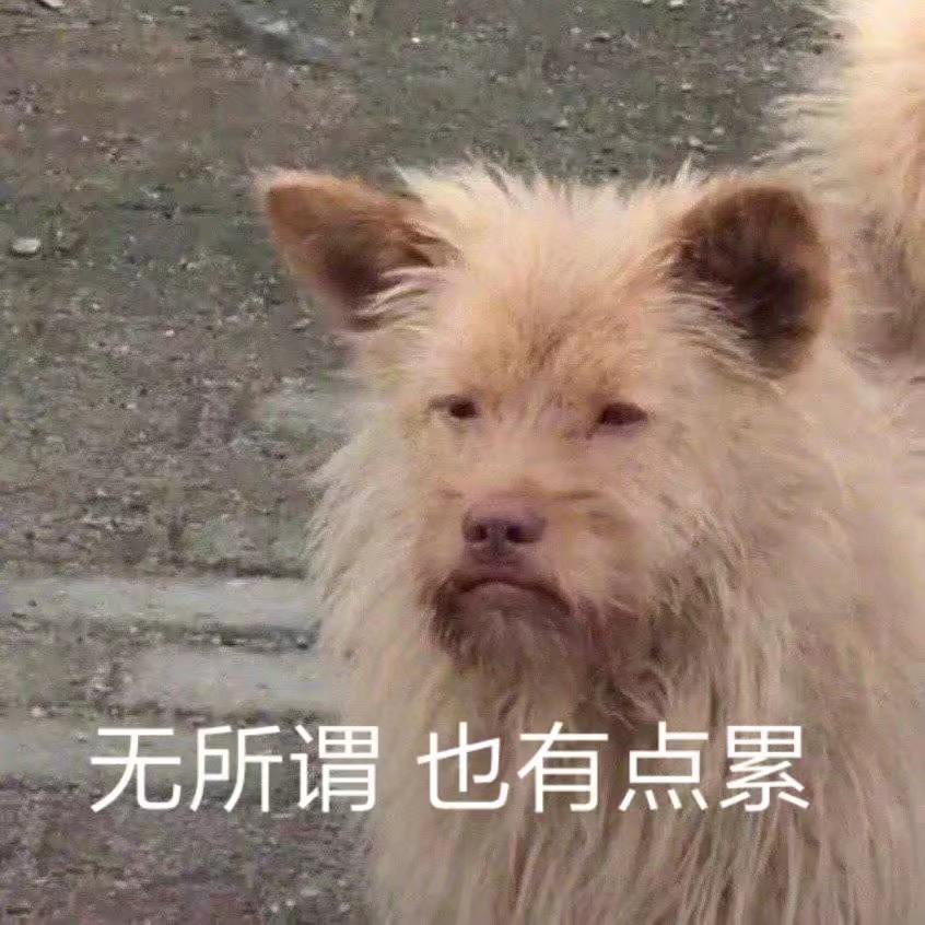 ʕ•̫͡•ོʔ•̫͡•ཻʕ•̫͡•ʔy