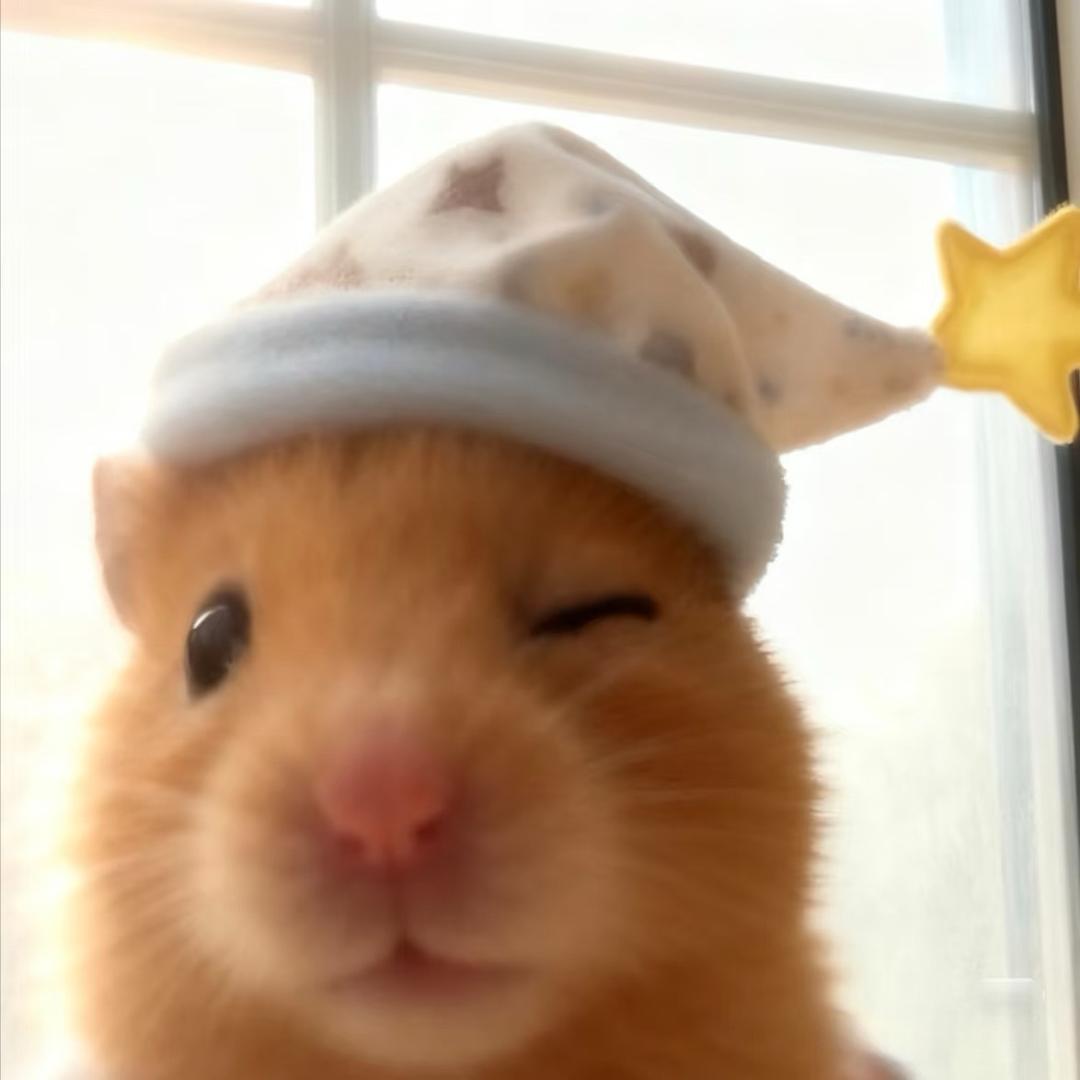 💗.