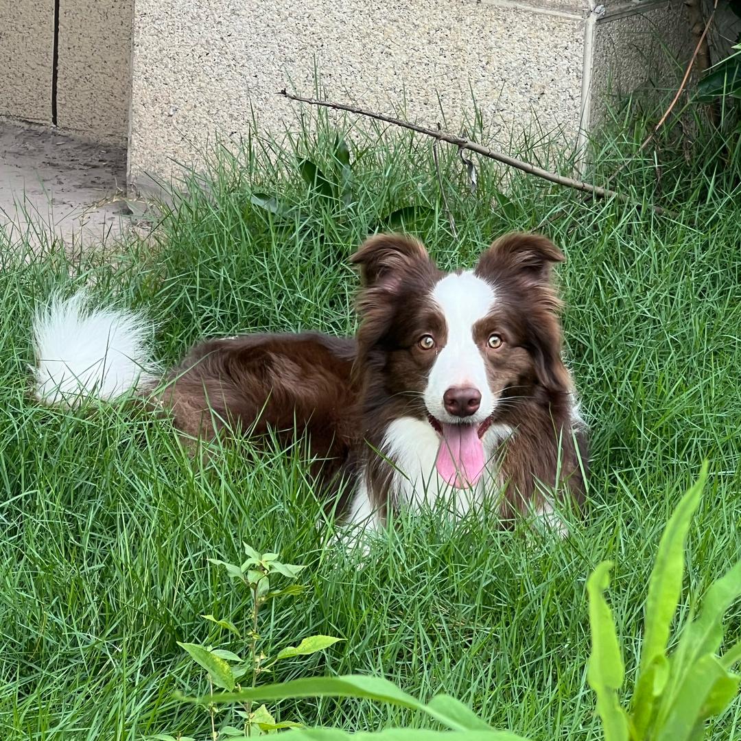 钱多多的生活日记