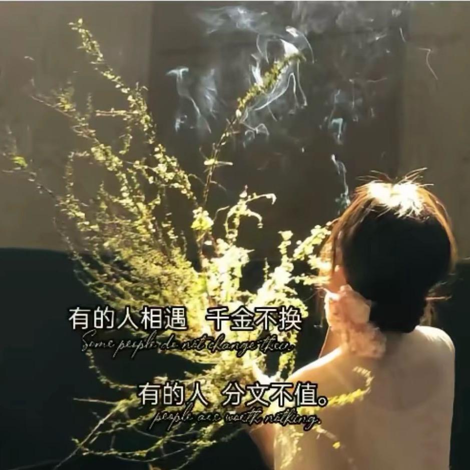 织金 AI爱派酒吧营销经理 莎莎