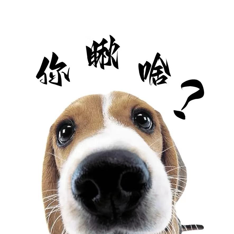 跟着读的是煞笔