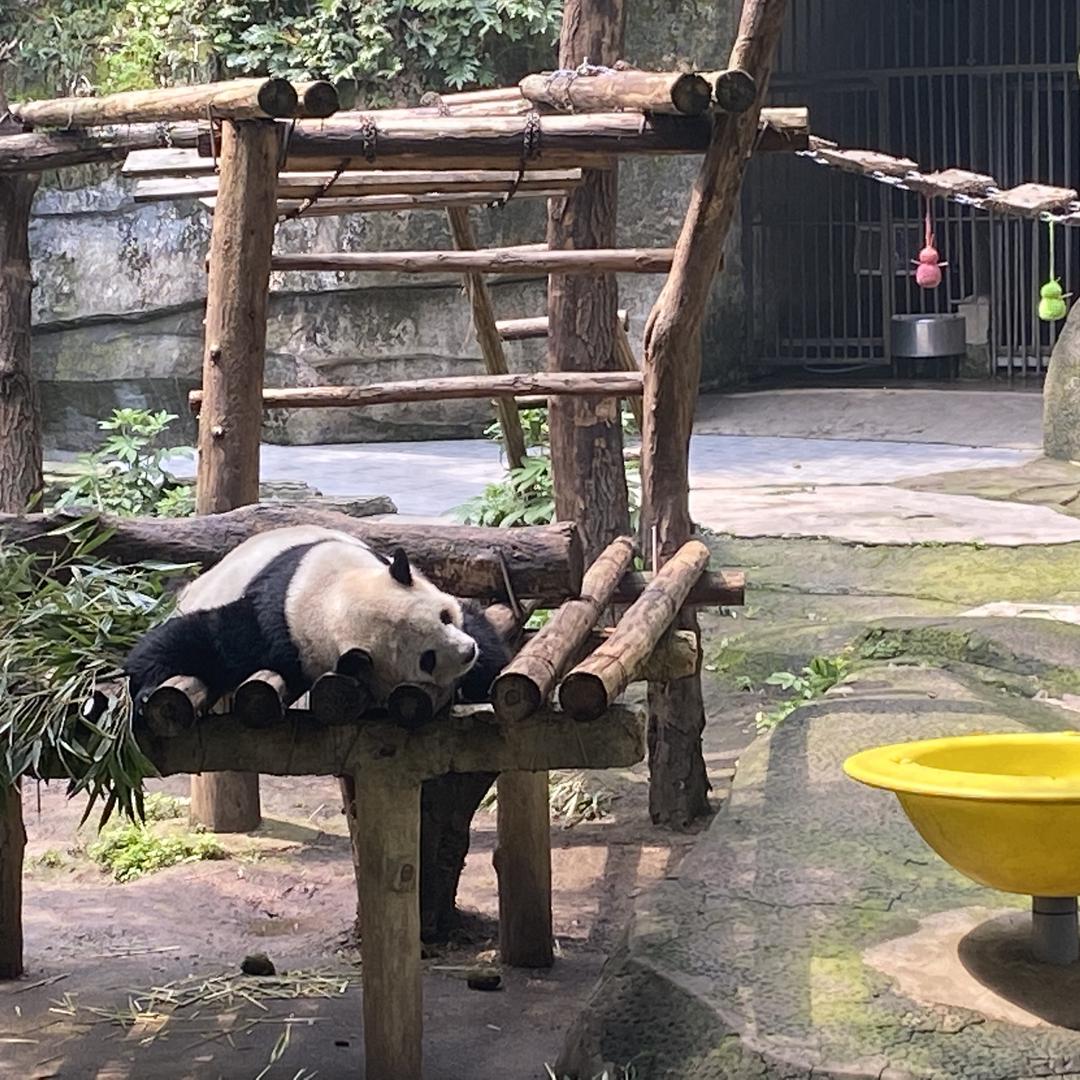 简府祥果鑫丰优品小铺