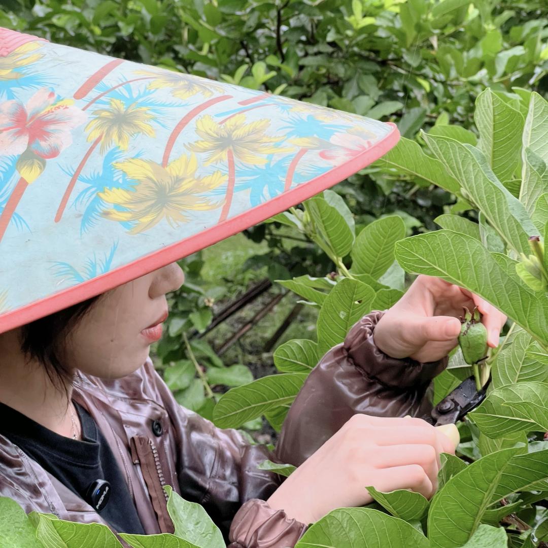 罗浮祥安果业