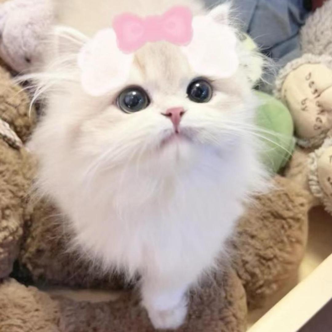 姚瑶