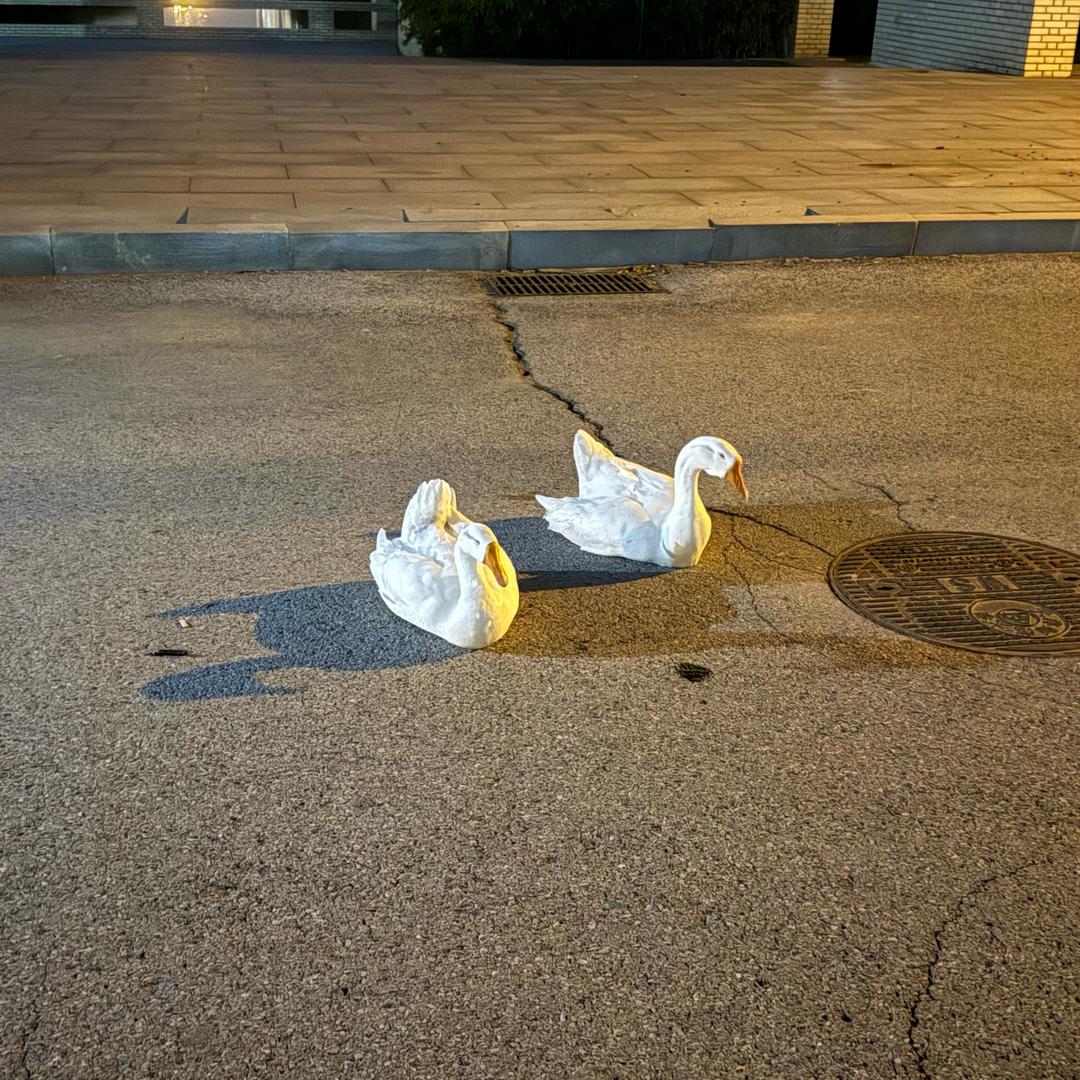 非零子式的最高阶数