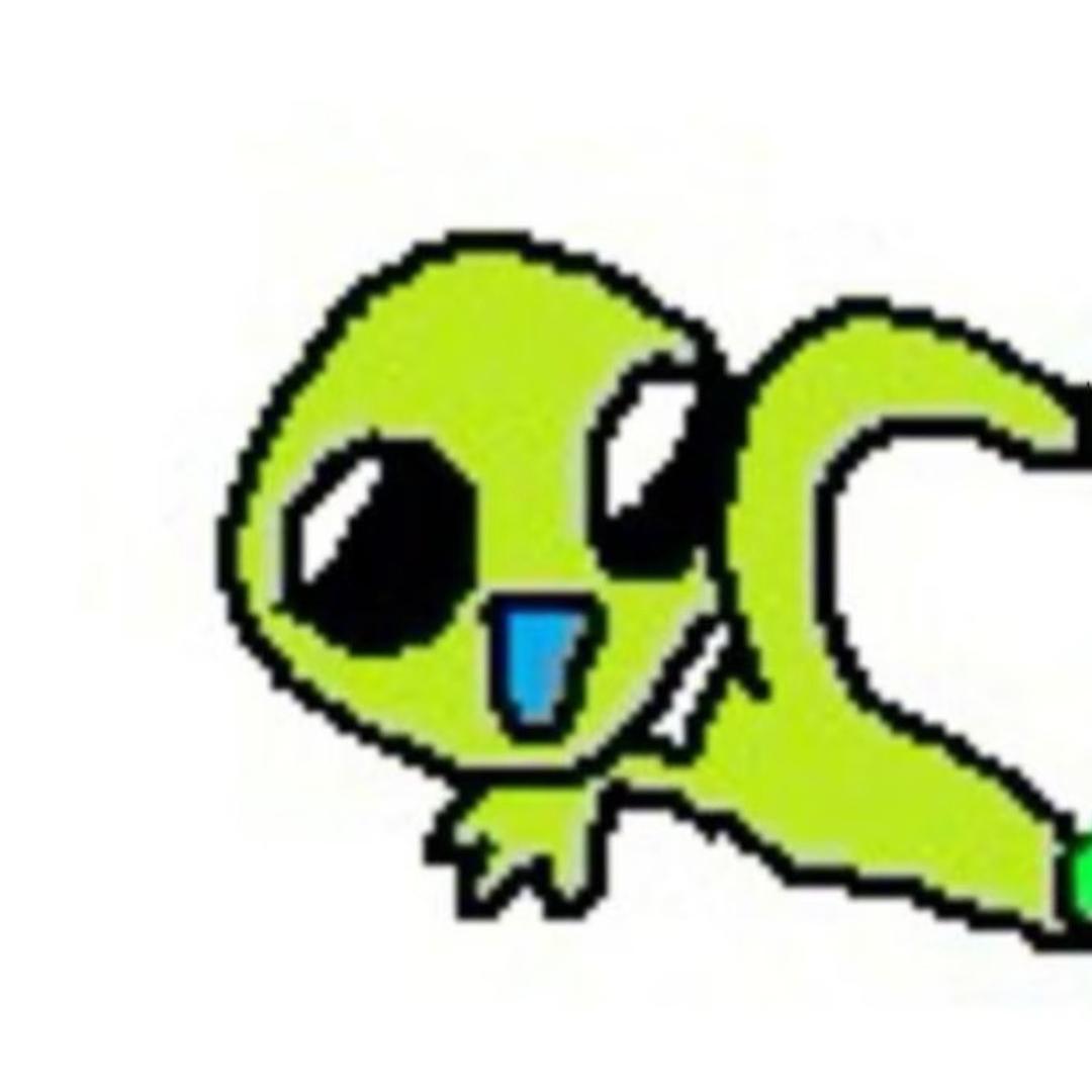 我真的讨厌七星瓢虫。