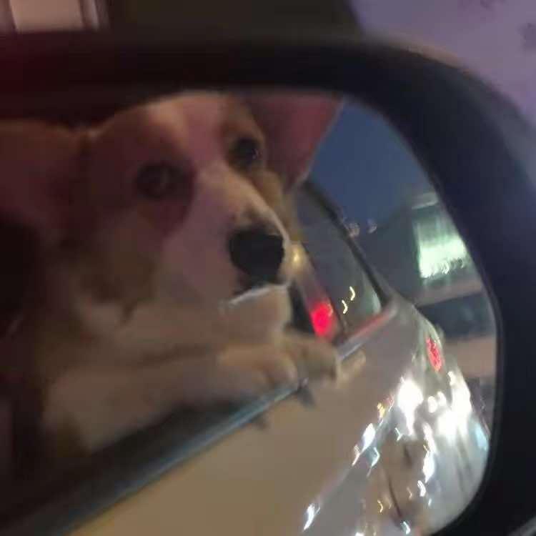 小路