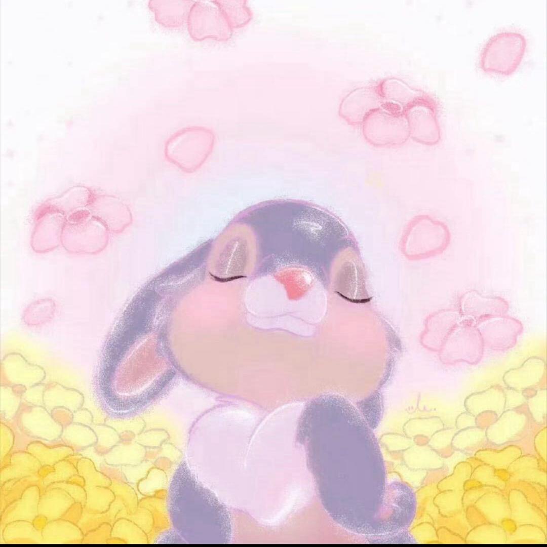 可鉴日月