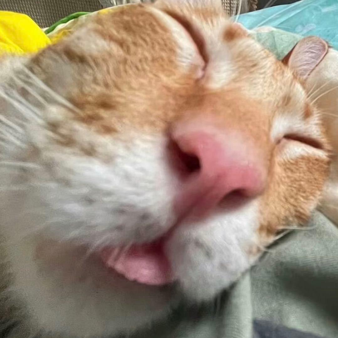 77粥