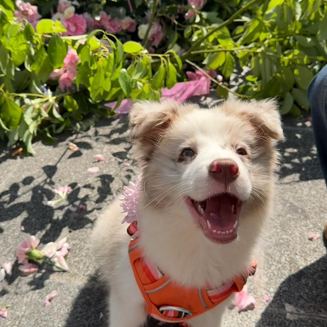 诺贝尔井岛讲获得者🫧