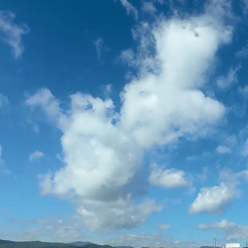 坐那收钱，躺哪美，一箭双雕