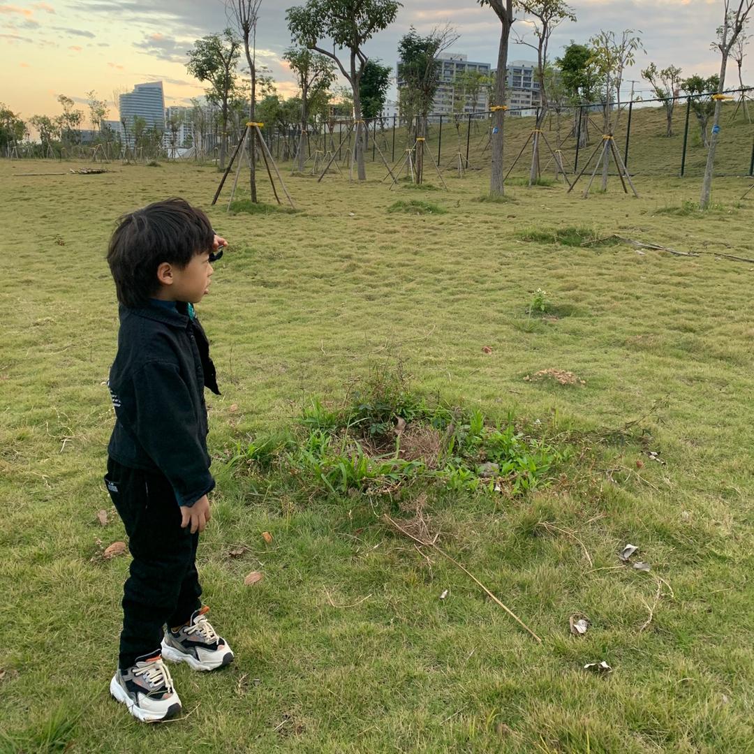 南宁高新区洋妈食品店