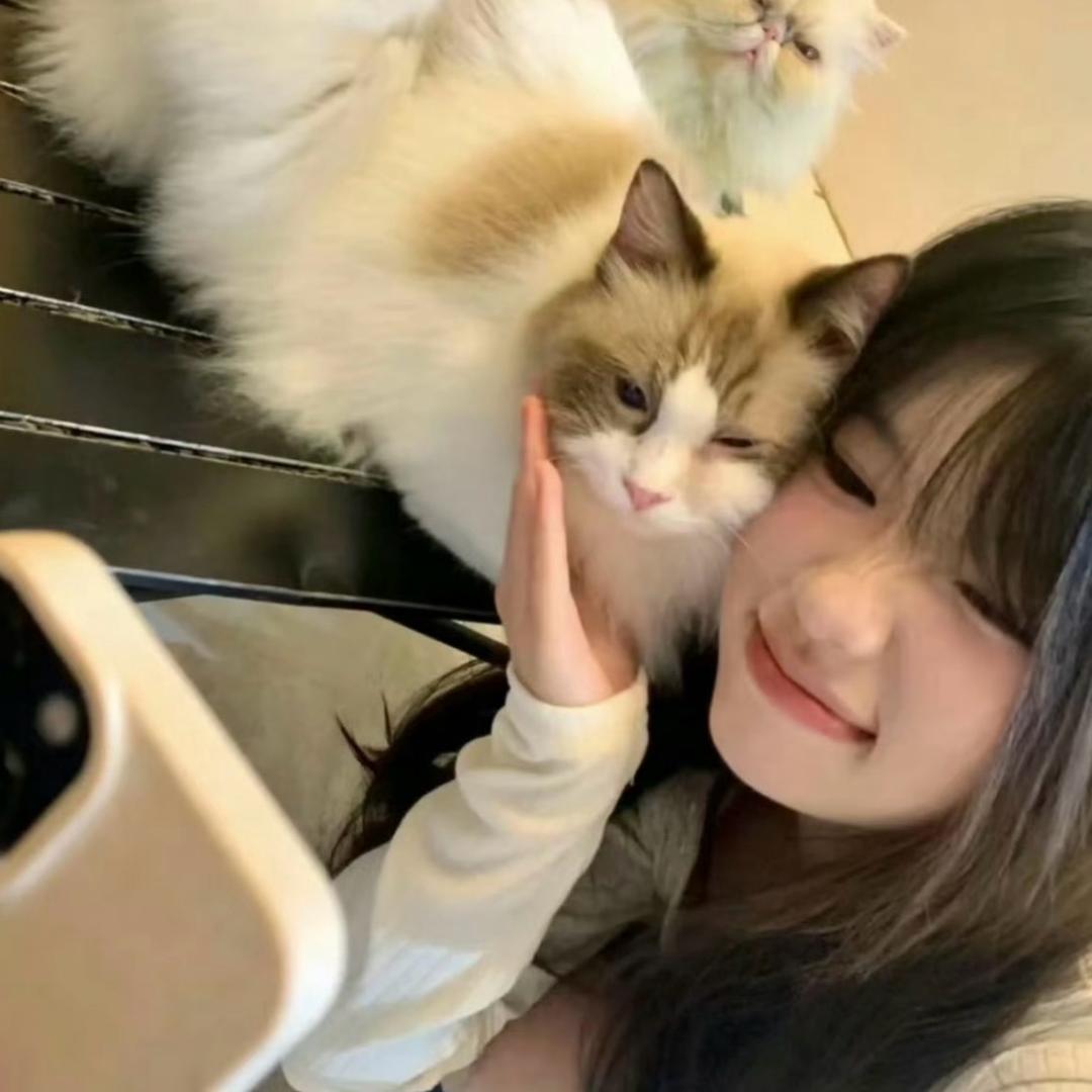 猫妹妹