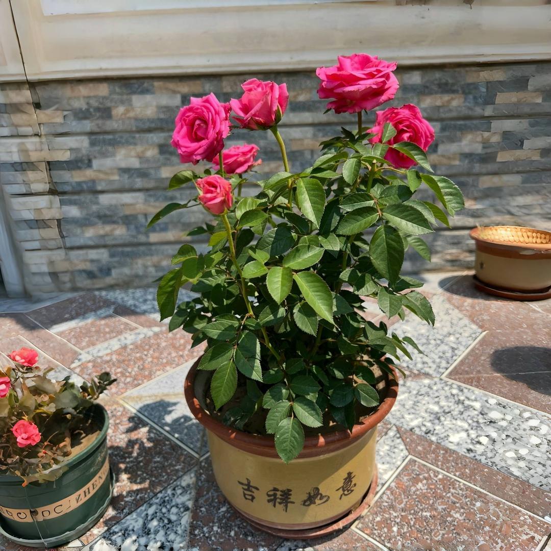 心爰小铺