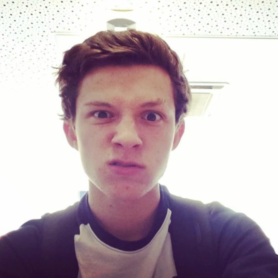 Gallavich