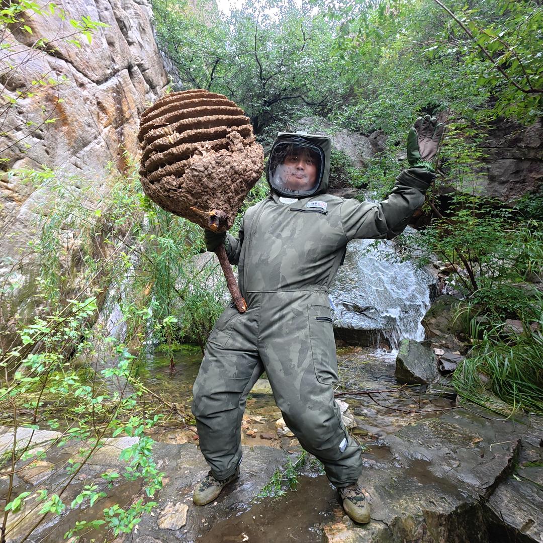 蜂霸王马蜂服（红娘72王）
