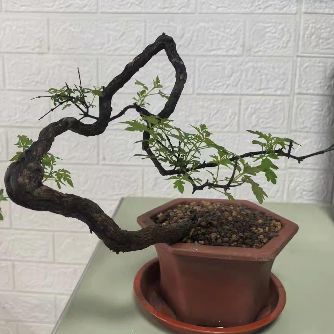 东北辽宁凤凰山
