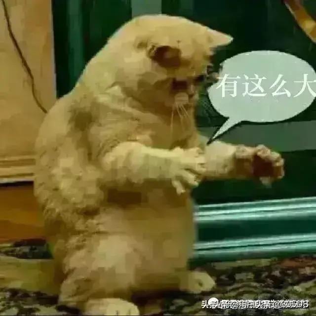 爱的世界只有你