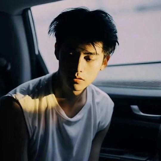 森林迷了鹿