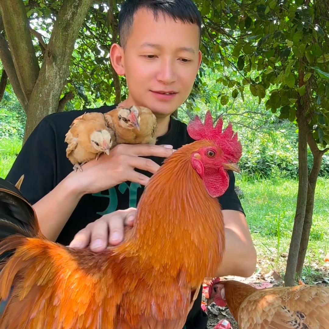 有点咯咯