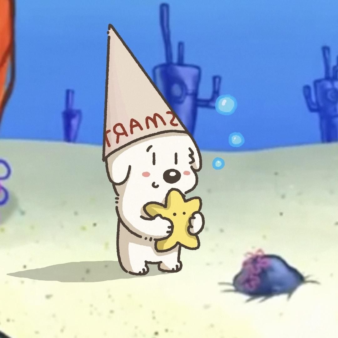 忠诚⭐️