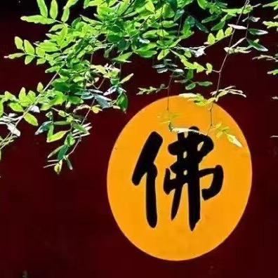 雪在烧